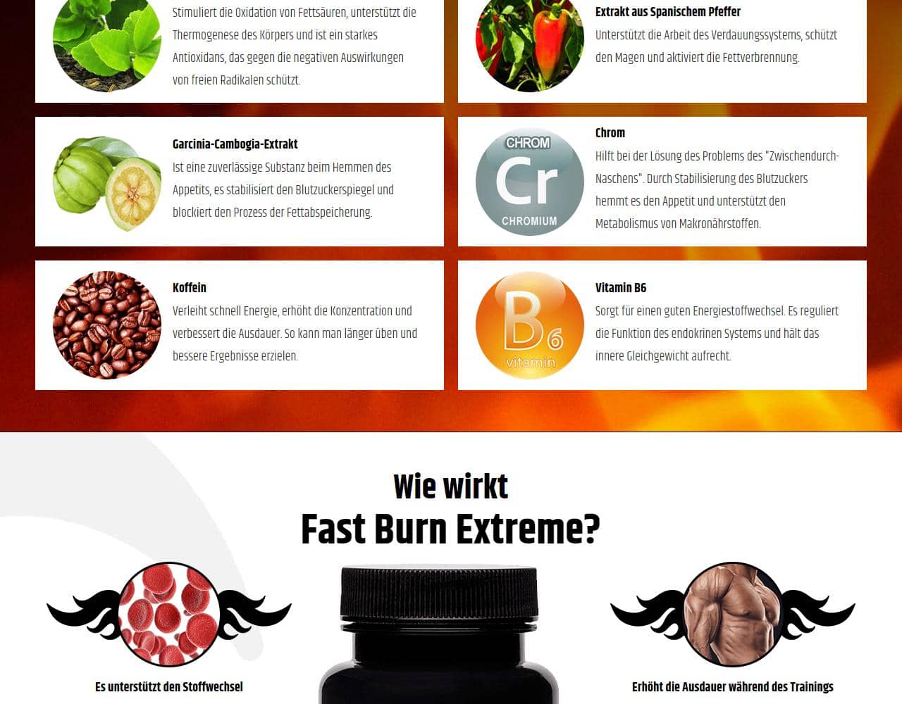 Fast Burn Extreme 3