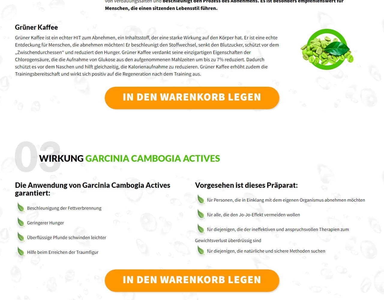 Garcinia Cambogia Actives 4